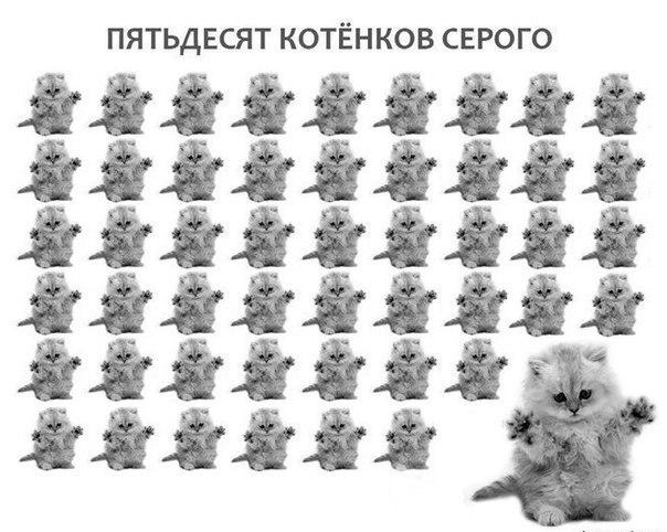mnetSand's tweet image. #котики