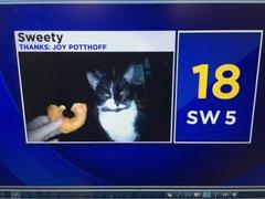 sweety5111's tweet photo. Im famous!?  #cbs2chicago @EdCurran  #marissabailey http://t.co/WheVUZdVQi