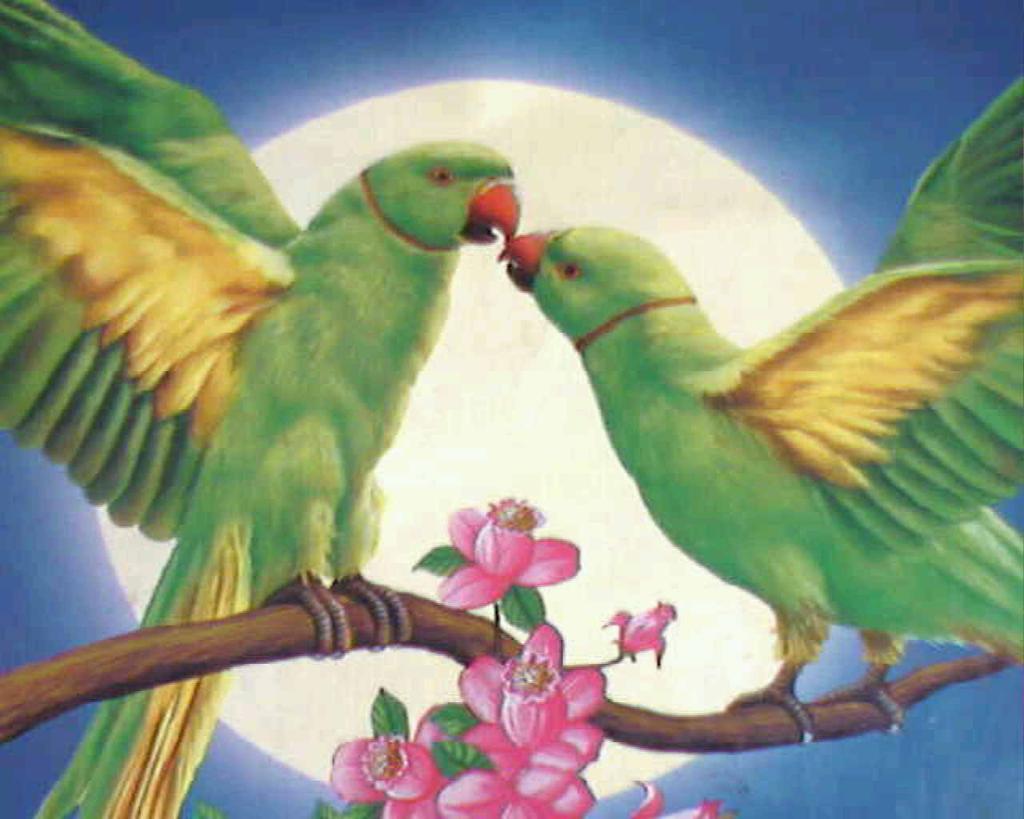 AliSaqlian's tweet photo. http://t.co/hiKbW7BtO7