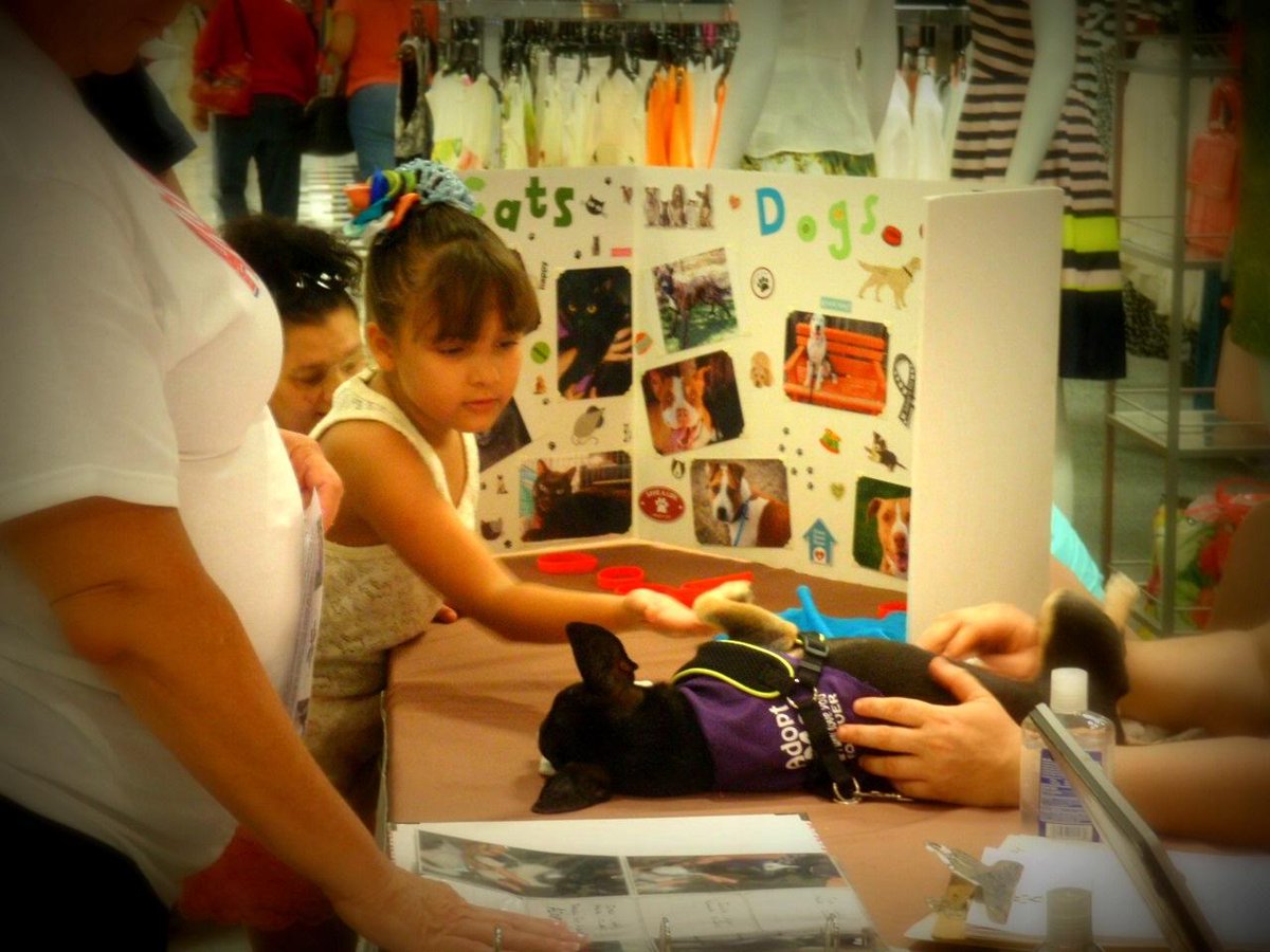 PPFL_Volunteer's tweet photo. PLS RT! Come to Dillards Tucson mall &amp; meet our dogs- 12-4 @MISHAC17 @lisa696708 @tucsonweekly @KVOA http://t.co/F5x61IqySq
