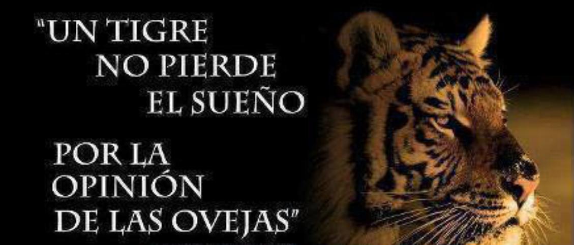 ♛ Juan Carlos ♛ tweet media