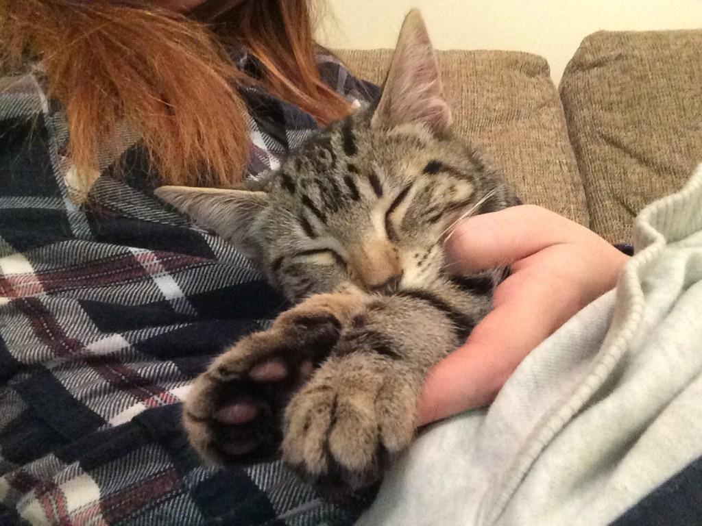 Violet Summers (@VioletSummers)  X