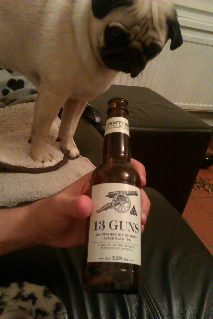 vattenhal's tweet photo. Rufus approves @Daniel_Thwaites ! http://t.co/SCrWR1fsdV
