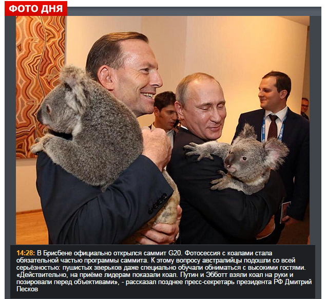 kpru's tweet photo. Фото дня на kp.ru. Президент России Владимир Путин обнял коалу на саммите G20, проходящего в австралийском Брисбене. http://t.co/nyowzZZKDZ
