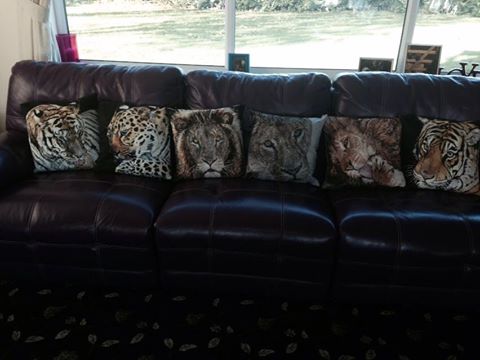 ClaireCerysanne's tweet image. One of my favourite customers sent me this photo of her collection of #wirelife #cushions. Purrrfection I think ;)