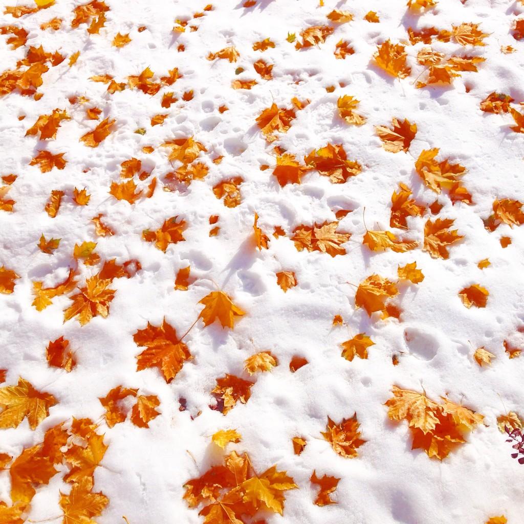 CUgrlproblems's tweet image. Happy Snowvember!