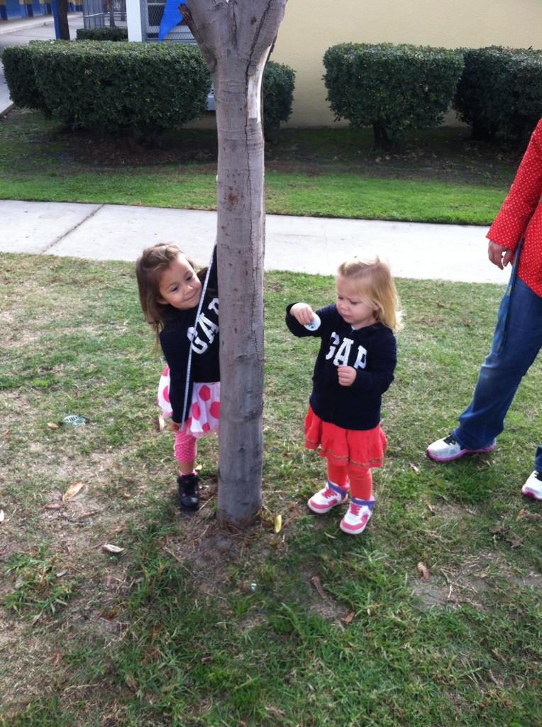 TreeMapLA's tweet image. #TreeMapping is fun for ALL ages!