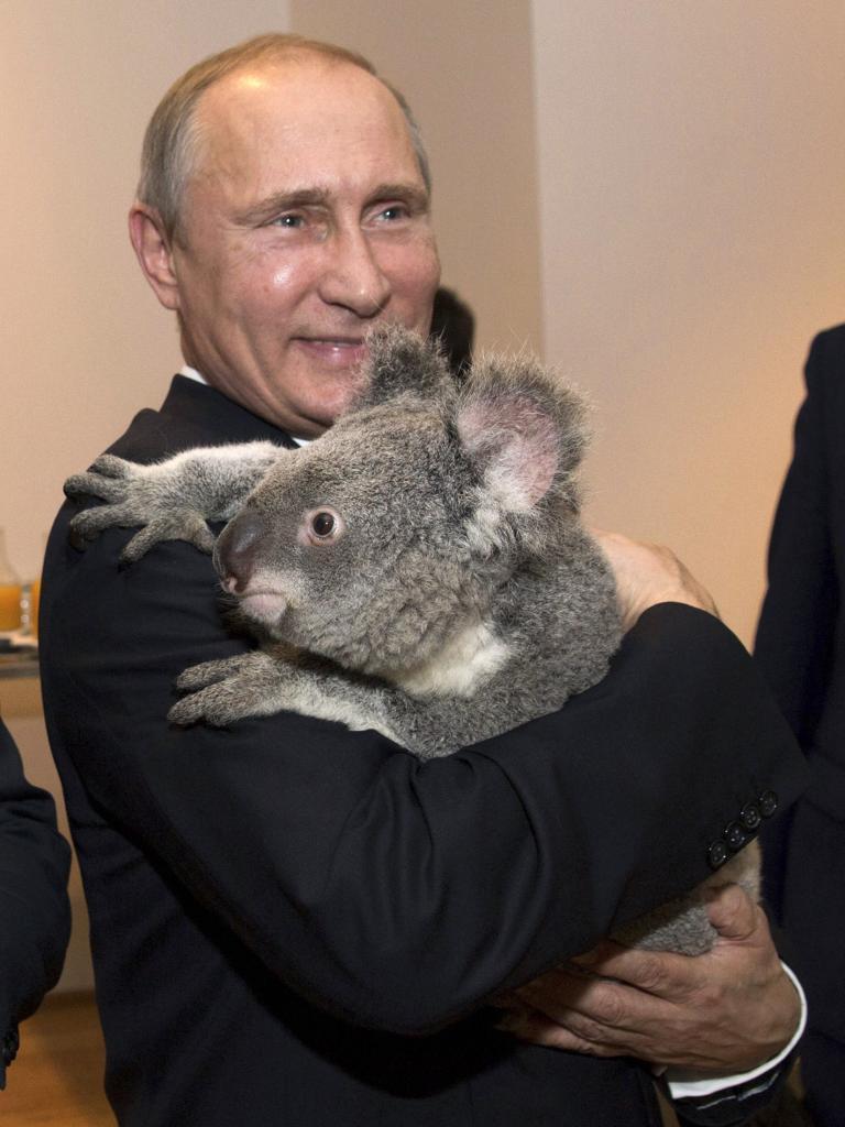 elmundoes's tweet photo. El tierno protagonista de la cumbre del G-20 http://t.co/42dBjVkOsU http://t.co/DnSbO70kgo