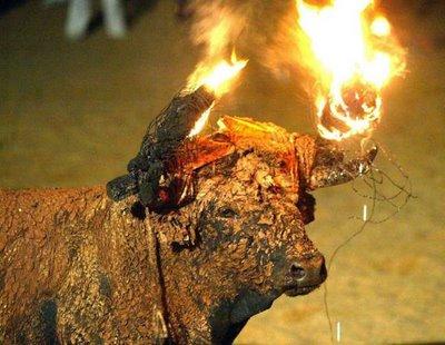 IgualdadAnimal's tweet photo. Todavía hay quienes disfrutan quemando a un animal. 
Esta noche el #ToroJubilo nos hace sentir #VergüenzaMedinaceli http://t.co/bT2ULdXwpo