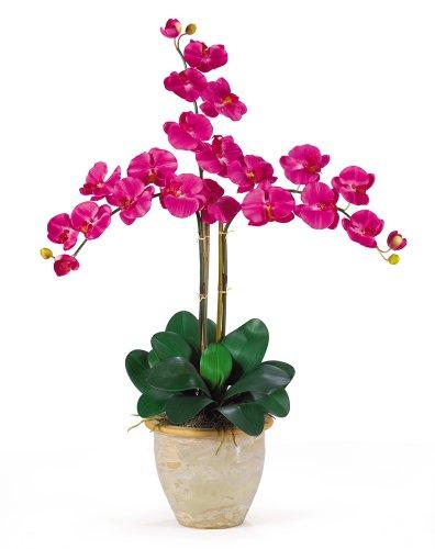 YourFlowersUS's tweet photo. Nearly Natural 1017-BU Triple Phalaenopsis Silk Orchid Flower Arrangement, Beauty - http://t.co/vWPTHGvR7x http://t.co/RR64mEQccZ
