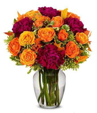 YourFlowersUS's tweet photo. Flowers - The First Leaves of Fall - http://t.co/Abd0XFLK0L http://t.co/WXUH3rxP0U