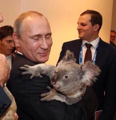 dternovskiy's tweet image. Придумайте название!