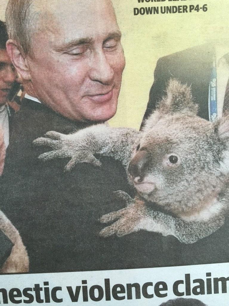hamishblake's tweet photo. Very proud of this koala for being the Aussie brave enough to get on Putins shirt's front. http://t.co/oQWDD2Aws8