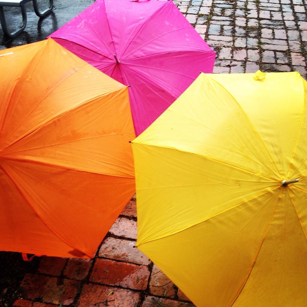 flemingtonfm's tweet photo. Ready set go .... #flemingtonfartsmarket http://t.co/AUWP8WrQgt