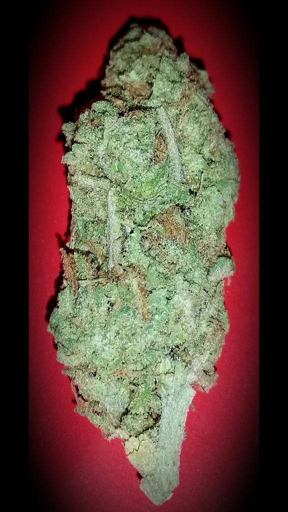 Potnonymous's tweet image. Nug of Ewok