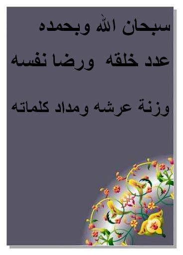 88l8 tweet picture