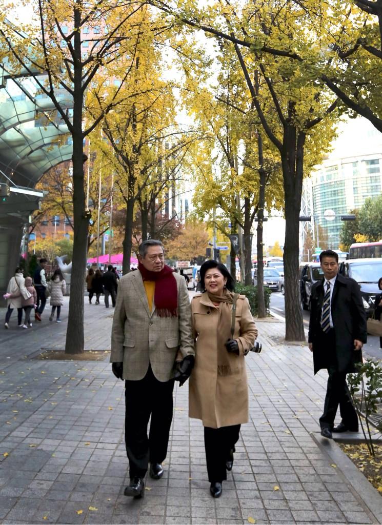 Menikmati keindahan Seoul. SBY akan segera memimpin sidang pertamanya sbg Presiden Global Green Growth Institute.