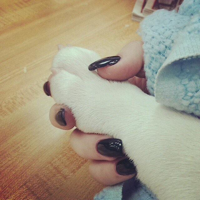 || on a date with my dog