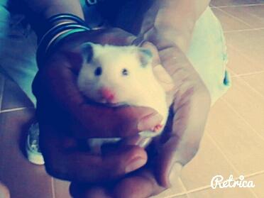 LuisTaku666's tweet photo. Konoskan a Miguelitho :3 #MiHamster juju http://t.co/PAXANAVAOE