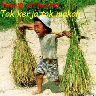 ibroamp's tweet photo. Fokus bisnis dulu, gak kerja gak makan! Inget target diumur 25thn harus jadi pengusaha! http://t.co/sIDDfRLwY4