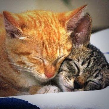 nesimrs's tweet photo. Buenas noches @pano_2 :) http://t.co/c4hK84sNMx