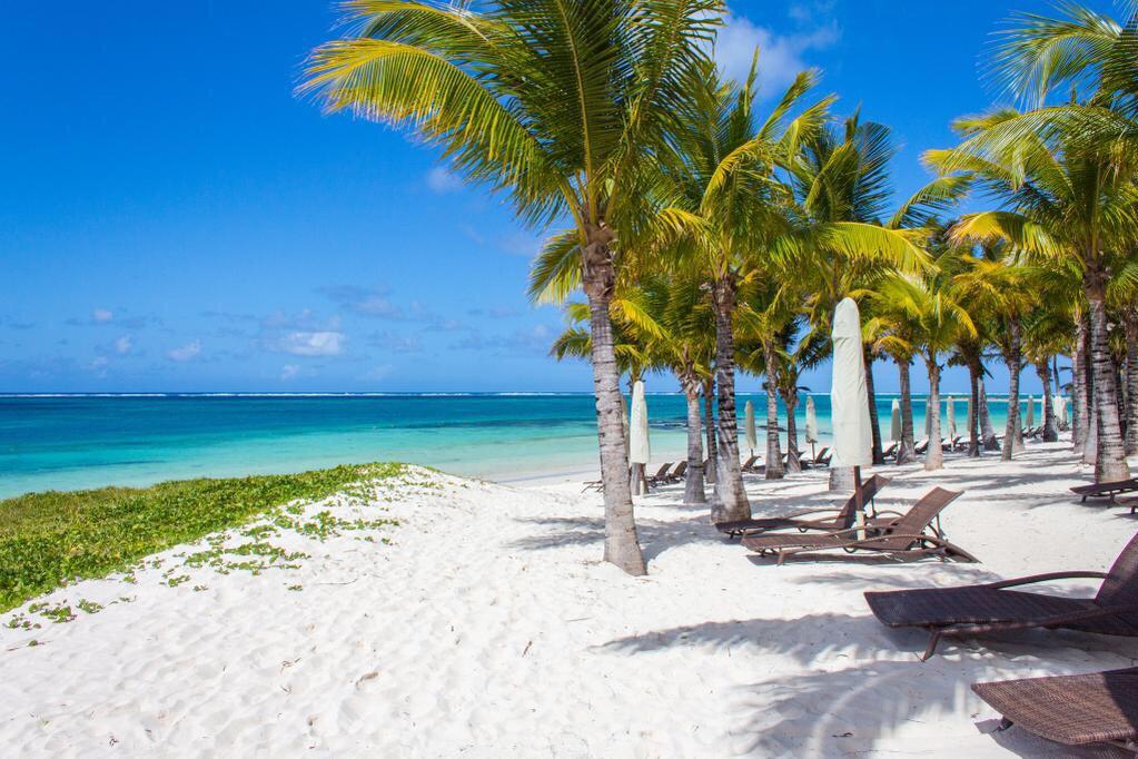 Ravi Moheeputh tweet media