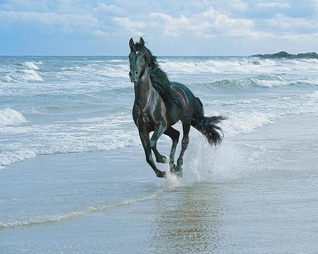 mreamgr tweet picture