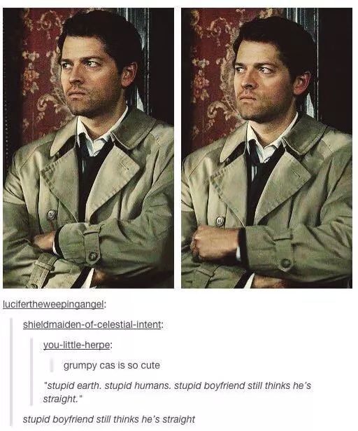 BeyondTheShar's tweet photo. Stupid boyfriend still thinks he is straight!!
#GrumpyCas
#Destiel http://t.co/wYRlLo90ba