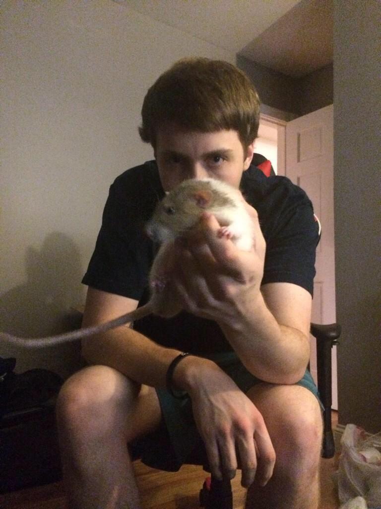 FaZe Banks on X: @FaZe_Rain DONT DO IT, I'll fucking squeeze you til your  dead rat http:t.co0huXZcv9MH  X