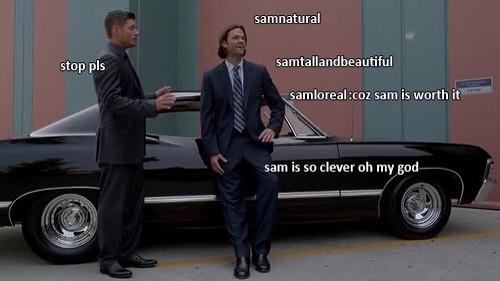 _DemonDean's tweet photo. this is what i have to put up with now http://t.co/zRbkJJjBrg