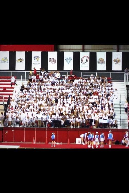lhs home page