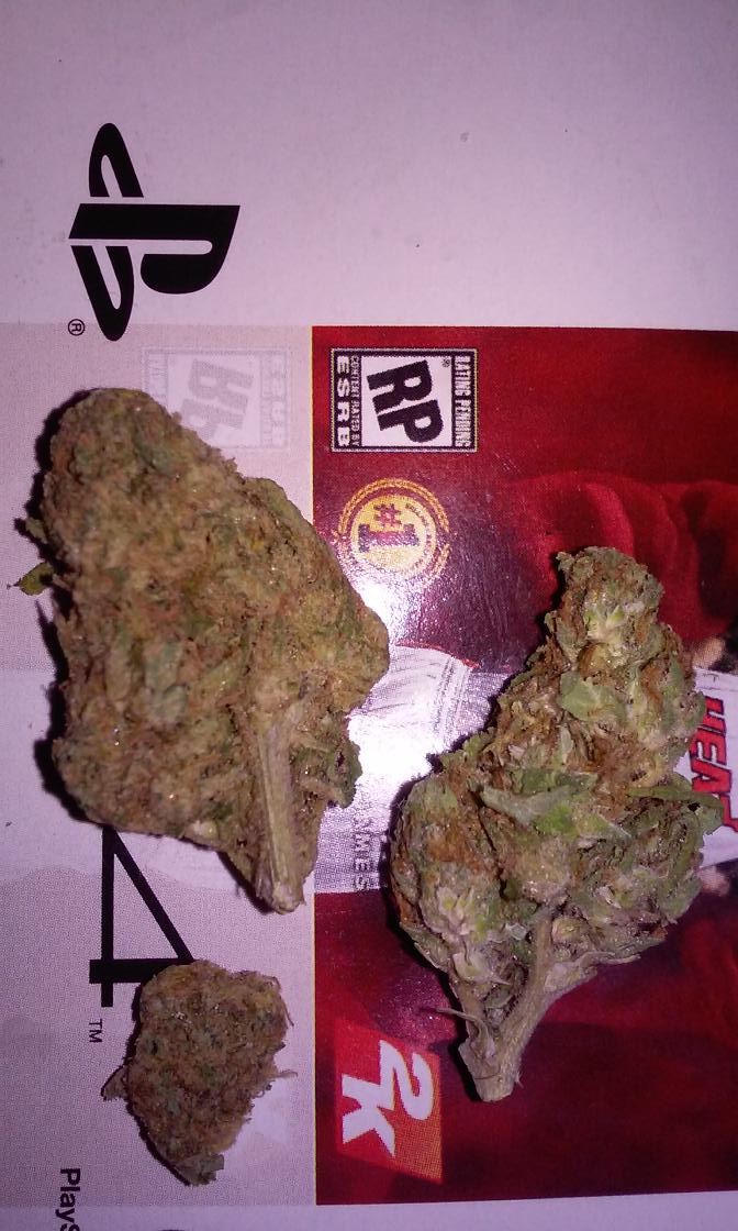 hashking559's tweet photo. Sum fire nd #Bellator131 http://t.co/VxNDNz9sNn