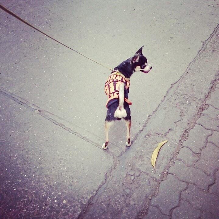 Amritay's tweet photo. #EqualStreets http://t.co/1pI7DGB8zX