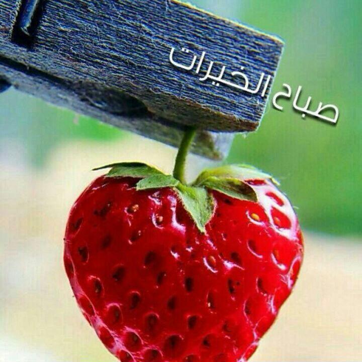 abosagadv1's tweet photo. http://t.co/Yr9JRxoqiH