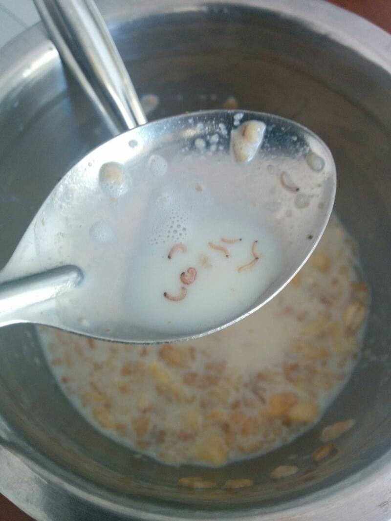 Shout_here's tweet photo. @KelloggCompany #kellog #muesli had worms. Packet bought in Total Mall Madiwala. http://t.co/oO180snLvG http://t.co/Dysg0P8pZQ