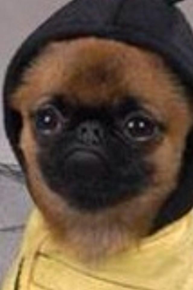YAGAAAA_'s tweet photo. Really nigga. http://t.co/xMGjn0RHFD