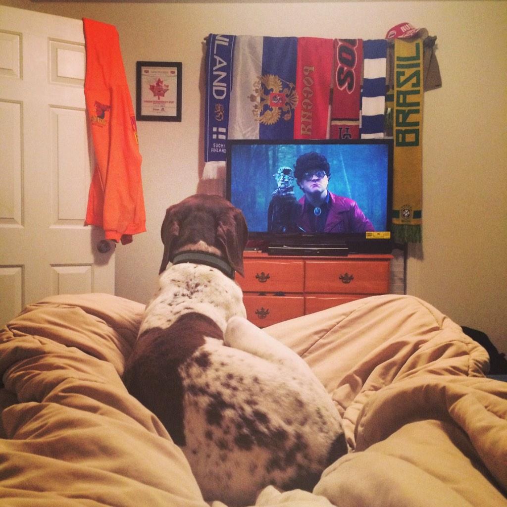 pantsoptional56's tweet image. Hey @MikeClattenburg @MSmithBubbles @RickySunnyvale look at my new fuckgoof watching #conky and the scorpion.