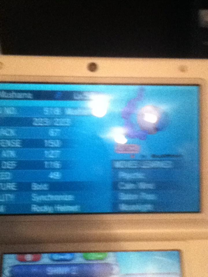 shinytime01's tweet photo. @BlazeScythe http://t.co/DFeO9BjYaz