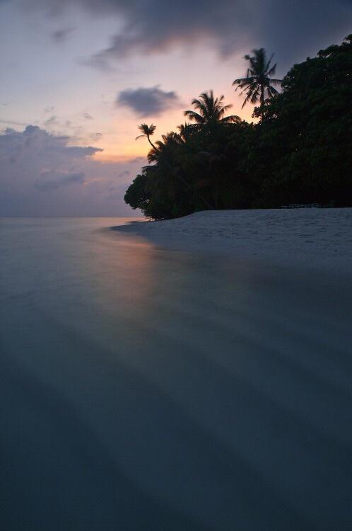 Peignot Roland (@guerigny) on Twitter photo 