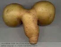 aron_mussie tweet picture