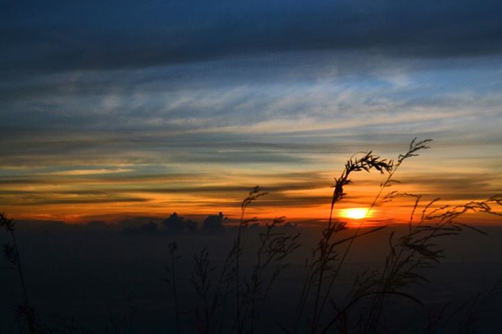 HanzAigner's tweet photo. Senja di Penanggungan min @GNFI http://t.co/ELK1Ht3hH0