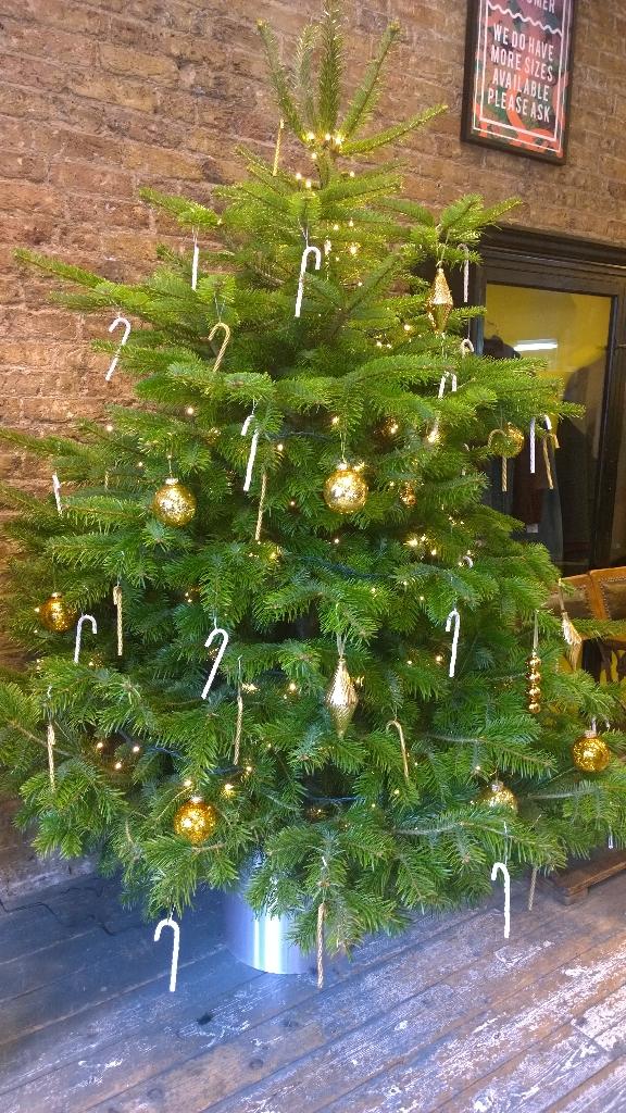 TMGeneralStore's tweet photo. We got a #CHRISTMAS TREE!! #topman http://t.co/odMBfJsc8o