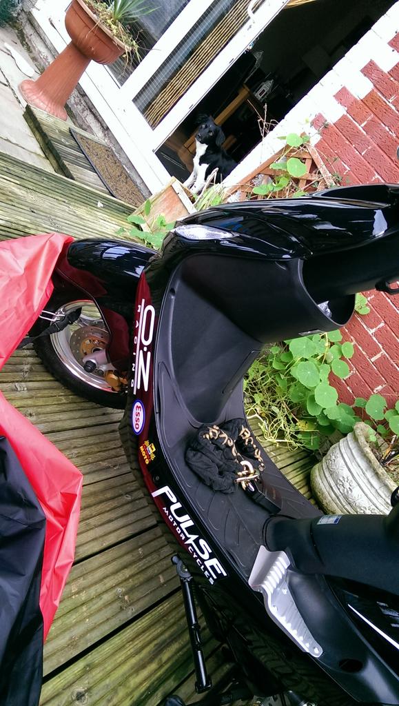 SamDoddX's tweet image. Looking mint👌