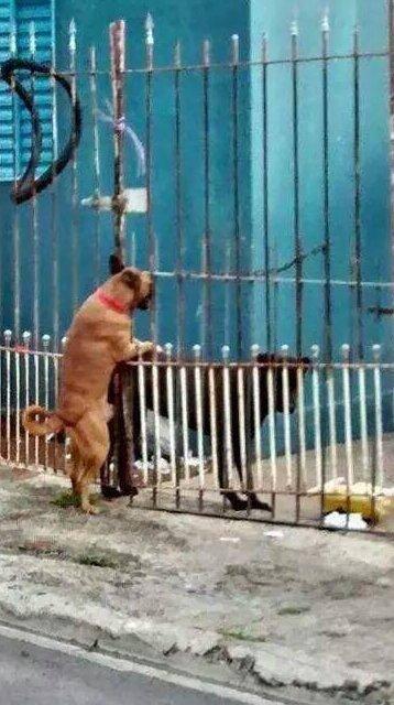 elRODR1's tweet photo. En el amor no existen barreras http://t.co/lZUVfVz3Sf