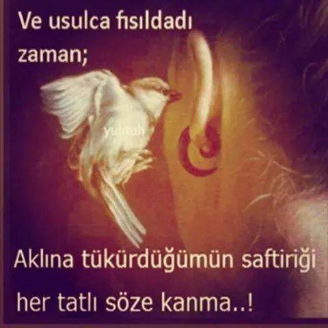 gr_nisa's tweet photo. http://t.co/vcaTU8rlEX
