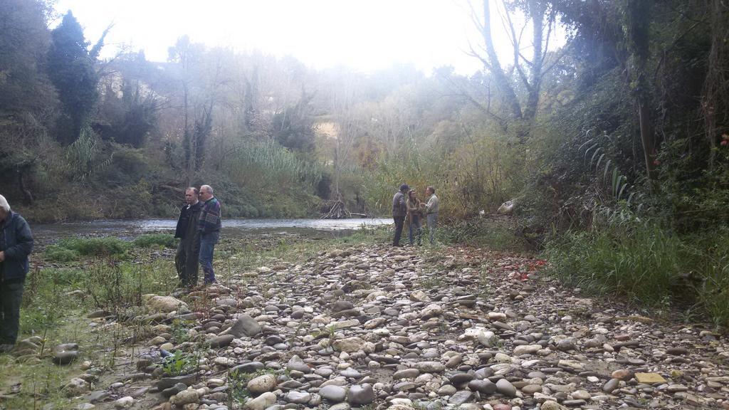 FlyFishermanC's tweet photo. Winter cast http://t.co/opcrfixvlc