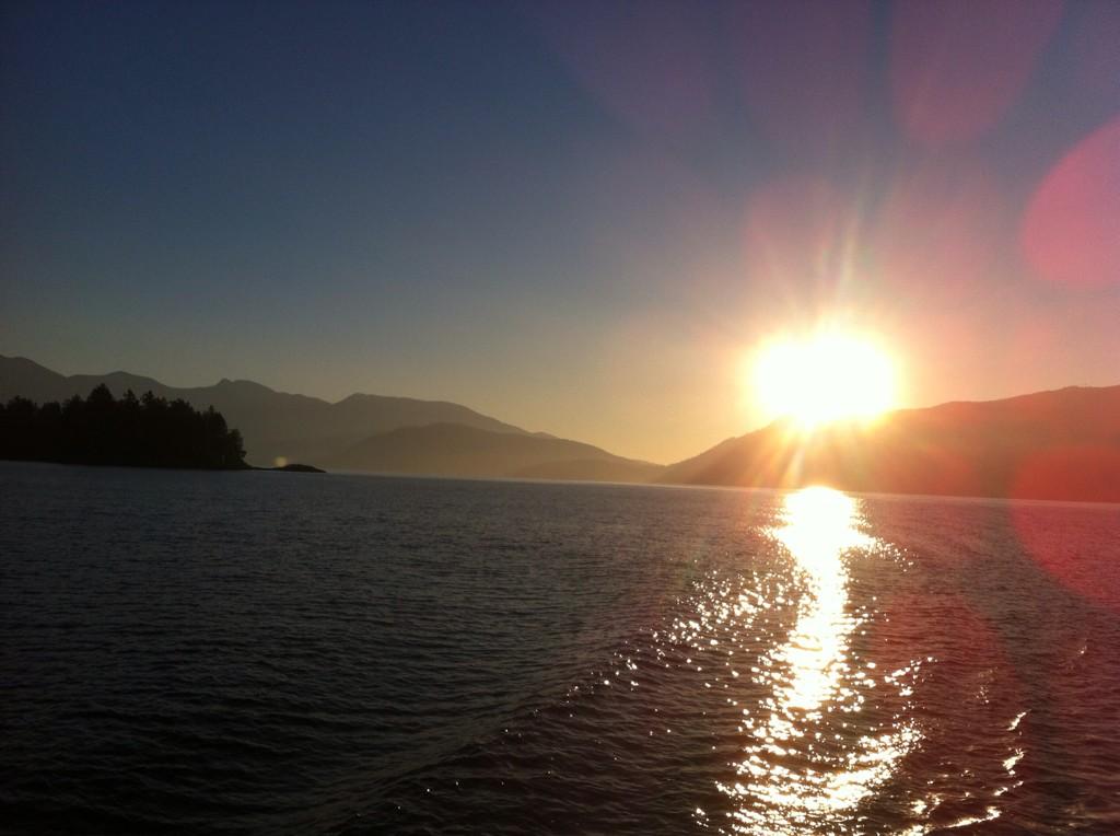 Katrina Strand tweet media