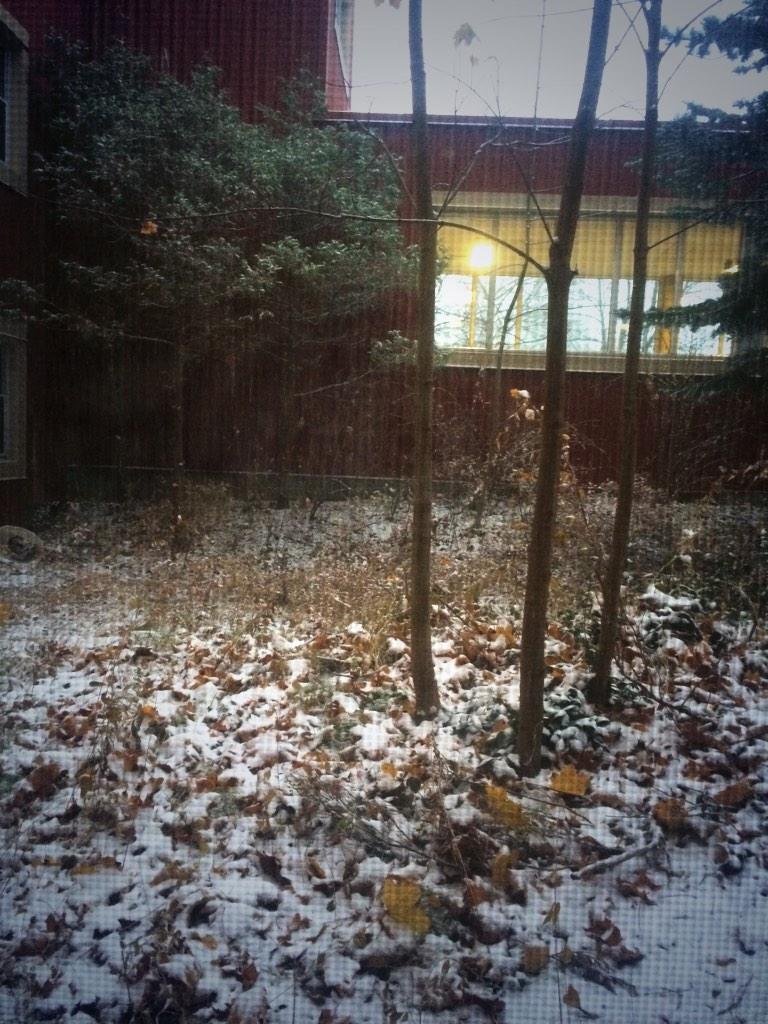 janeingram3's tweet photo. Ill be hibernating with fuzzy socks, Christmas movies and cookies if anyone needs me❄️⛄️🎅 http://t.co/6IeiVk1pwY