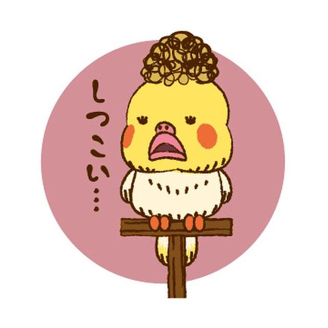 インコ好きのtwitterイラスト検索結果 古い順 インコ好きのtwitterイラスト検索結果 古い順