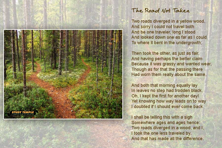 роберт фрост стихотворения. Robert lee frost the road not taken. стихотворение другая дорога. стихотворение роберта фроста неизбранная дорога. Robert frost the road.